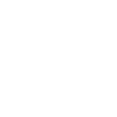Official Shopify Partner Logo